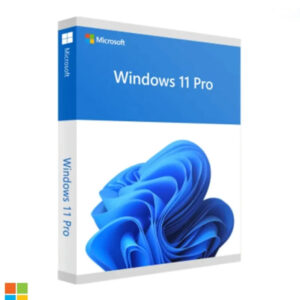 Windows 11 Professional – Product Key